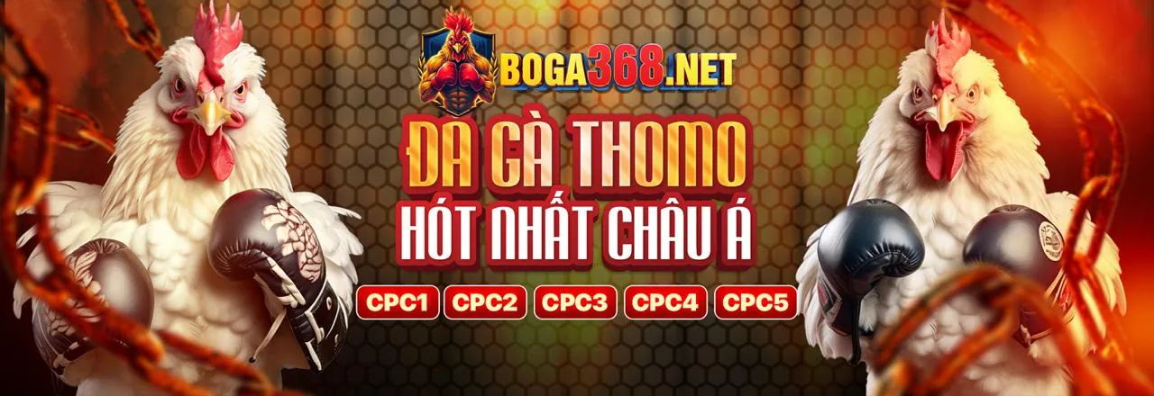 Đá gà trực tuyến Hello88 với các trận đấu hấp dẫn